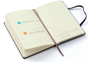 Moleskine® Hard Cover Large 12-Month Daily 2021 Planner